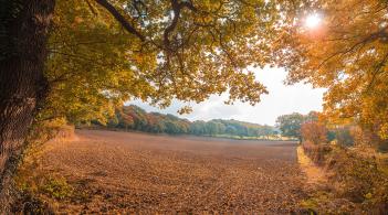 Autumn Sunset Over Farm