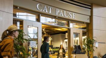The exterior of the Cat Pause store in the davis center