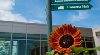 Sign pointing to UVM health sciences buildings with flower in foreground