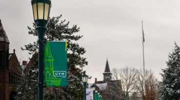 banners on light poles