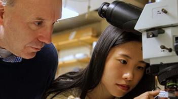 Two people doing a research in a lab