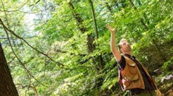 Faculty member Bill Keeton in a forest pointing up at the canopy