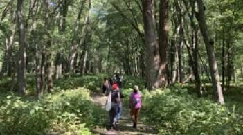 Students walking on a trail through a large forest