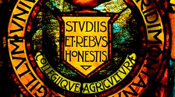Art in stained glass