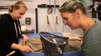 Researchers examining an eel in a net.