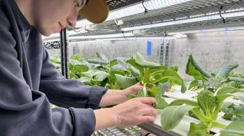 photo of person tending to plants