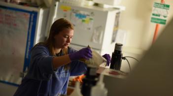 Photo of student in a lab doing research
