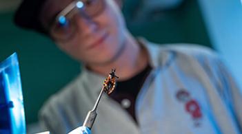 Daniel Penados PhD student in Stevens lab