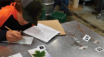 student at a metal table with maple leaves and twigs on it, taking notes