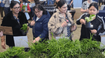 four people looking at potted plants in the Davis Center Grand Maple Ballroom