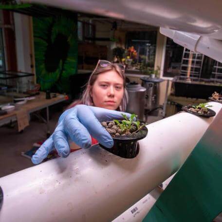 A Rubenstein student in Aiken lab