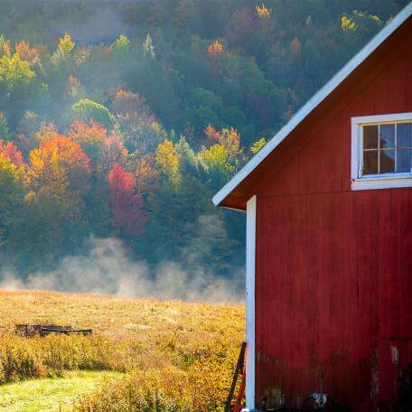 A rural farm building with trees