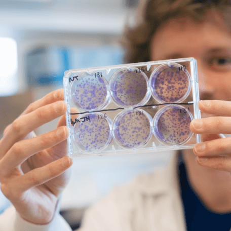 Student does cancer research in the lab