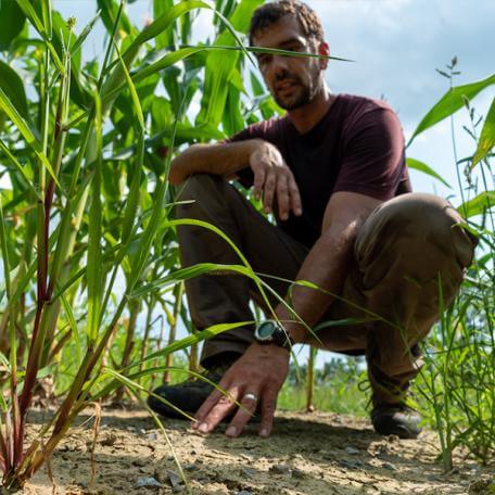 researcher examining soil in a field
