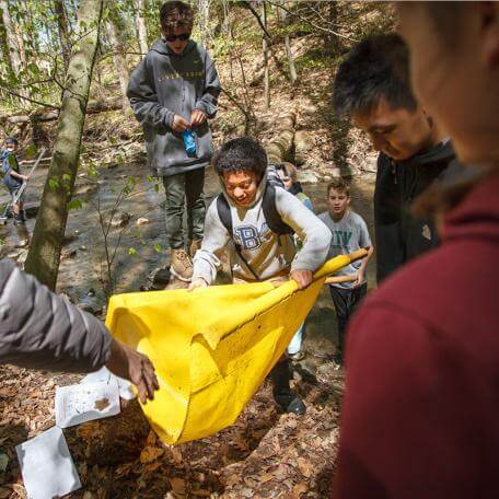 a group of kids doing research in the woods