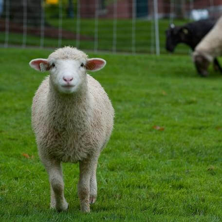 Farm Tours and Educational Events