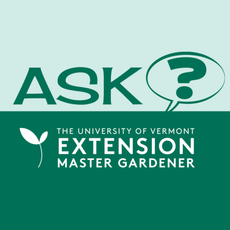 Ask an extension master gardener