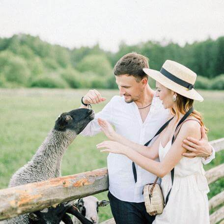 a couple petting a sheep outdoors