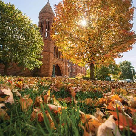 fall foliage