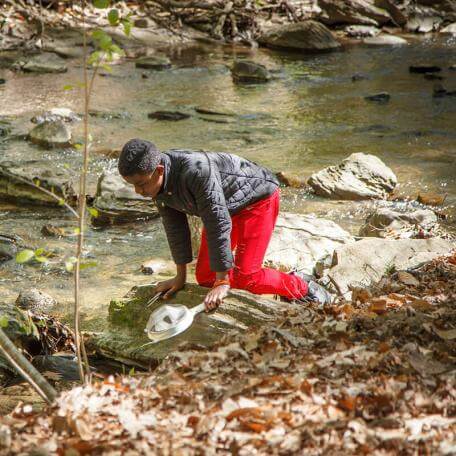 Link, child investigating a stream