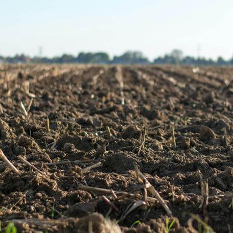 a large field of soil