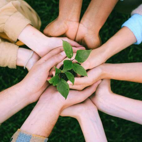 several pairs of hands in a circular pattern holding a small plant