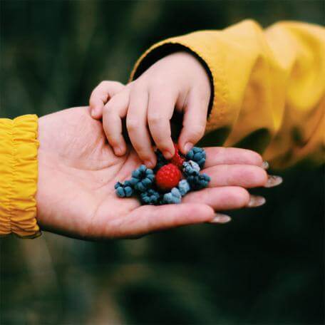 a small child's hand reaching to grab berries from an adults hand