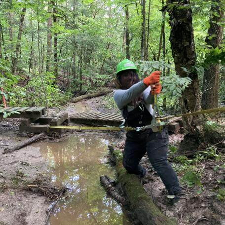 Stewardship assistant