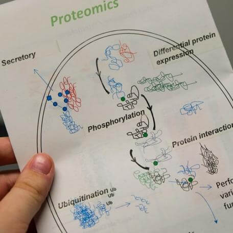 person holding a visual diagram of Proteomics 