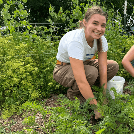 Weeding outdoors in a garden