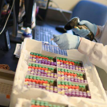 Scientist near rows of test tubes