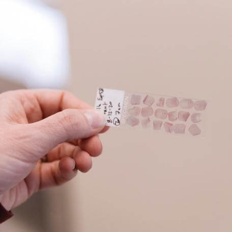 students hold a laboratory slide