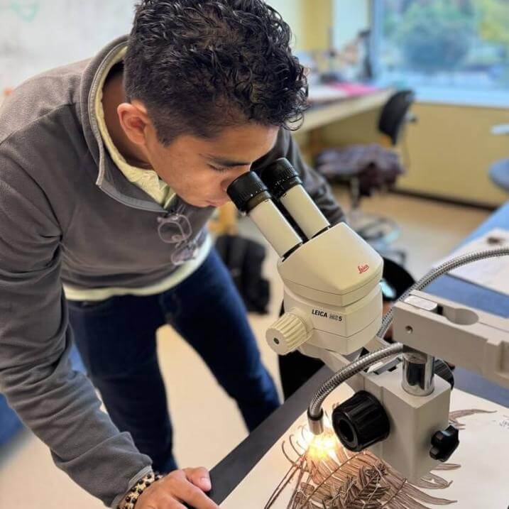 Nico looks through a microscope at a plant specimen