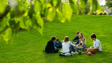 UVM students sitting in a circle studying with their laptops outside on the University Green.
