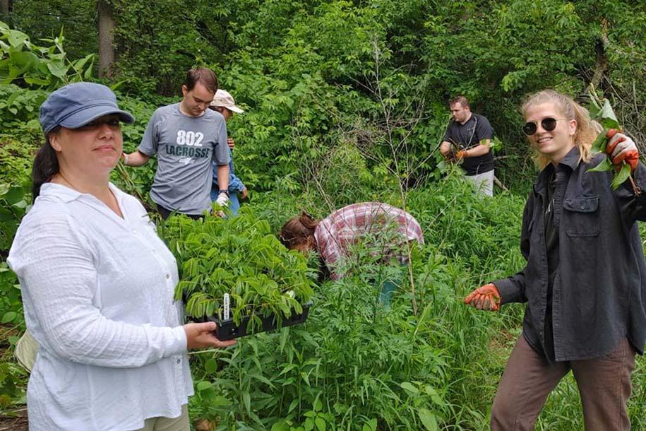 UVM Plant Biology Lecturer Laura Hill (left), hands out wild senna seedlings for students to plant in the riverbank.