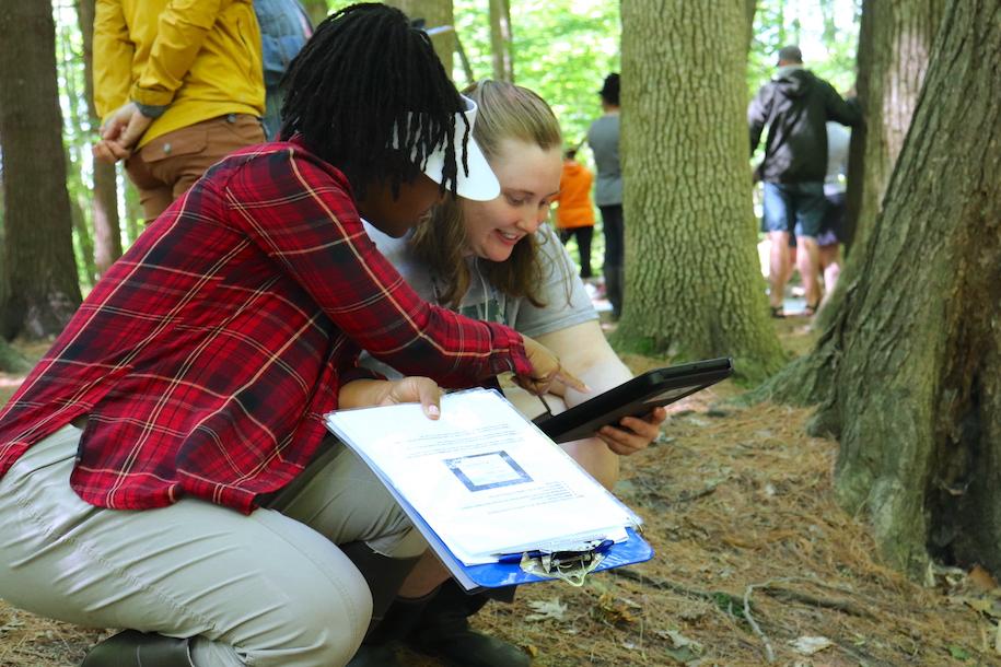 CREST teachers conducting research in the woods near Potash Brook
