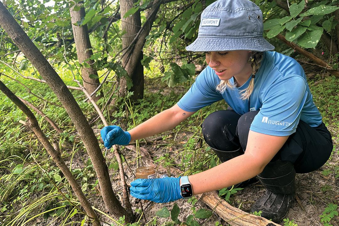 a student is crouched swabbing tree samples in a flooded zone