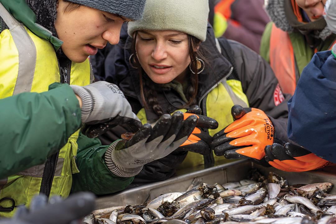 two students wearing winter gear and gloves inspect a fish from a box of numerous fish