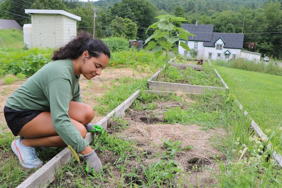 Woman working in garden bed