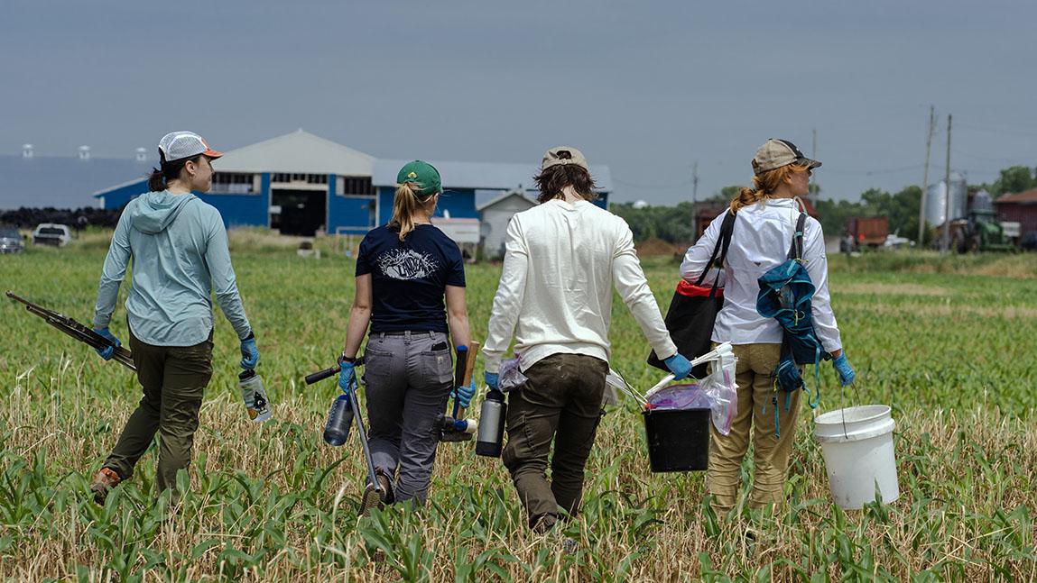 a group of students walk across a corn field holding buckets, shovels, and instruments to take soil cores