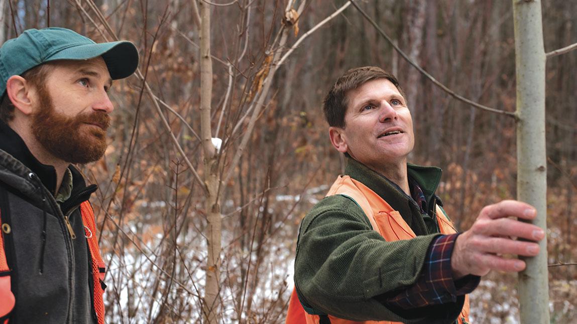 Two men standing in a wooded area looking at trees