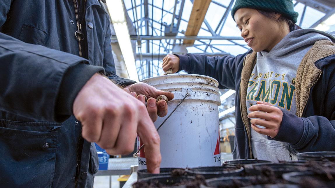 People planting seeds in buckets