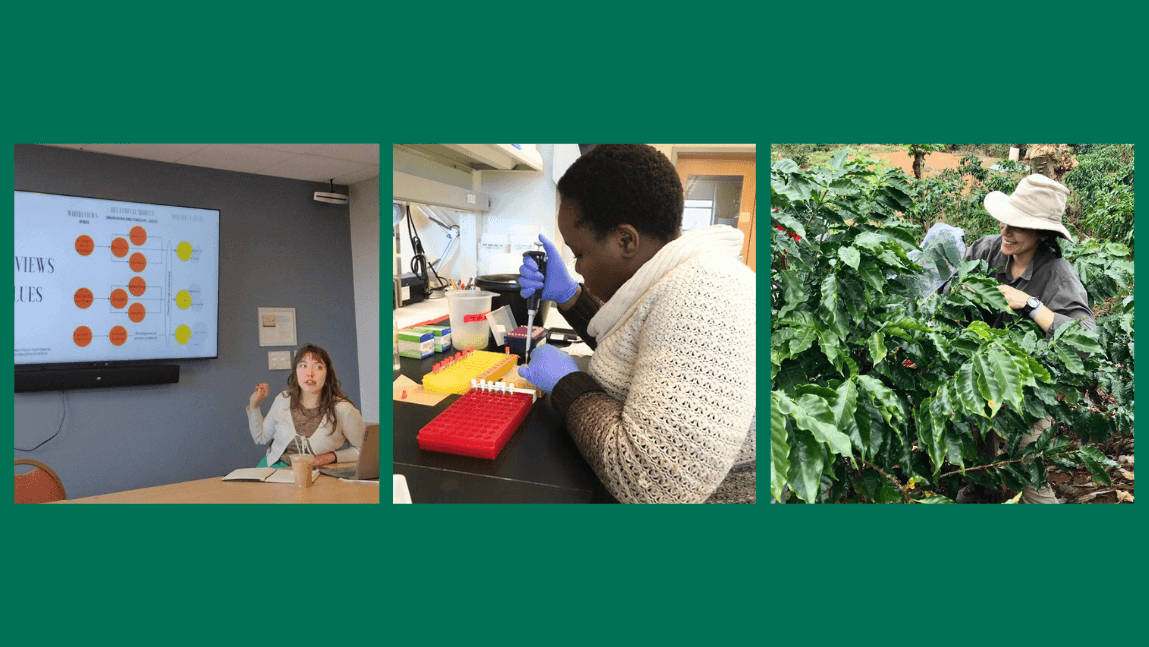 A seated person giving a powerpoint. A person pipetting. A person doing field work with a plant.