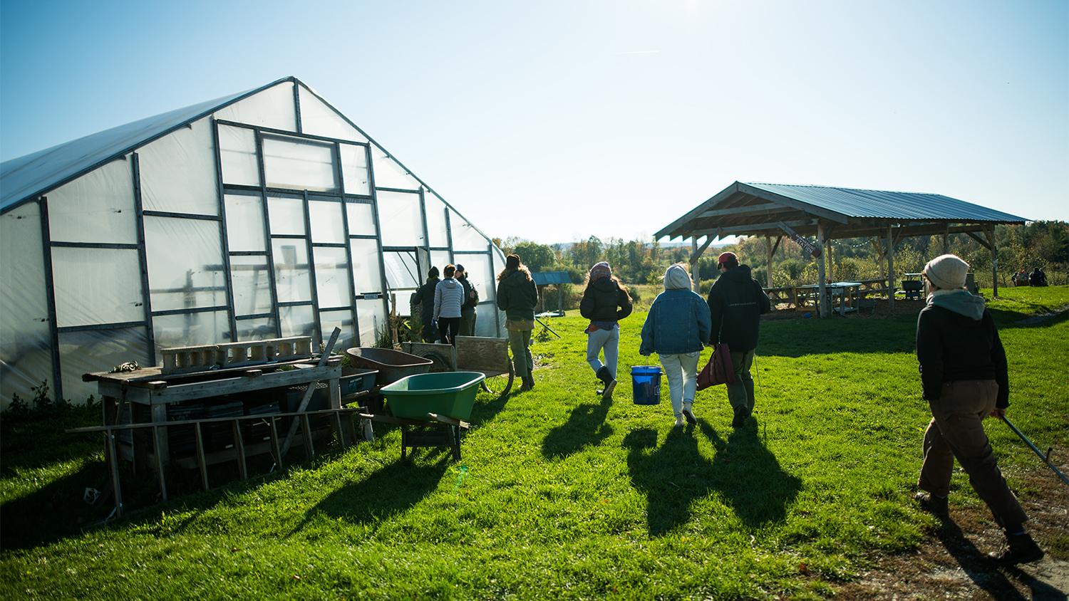 Student researchers walking towards a greenhouse.