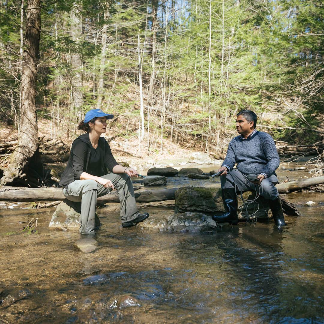 Doing research in one of UVM's nearby forests.