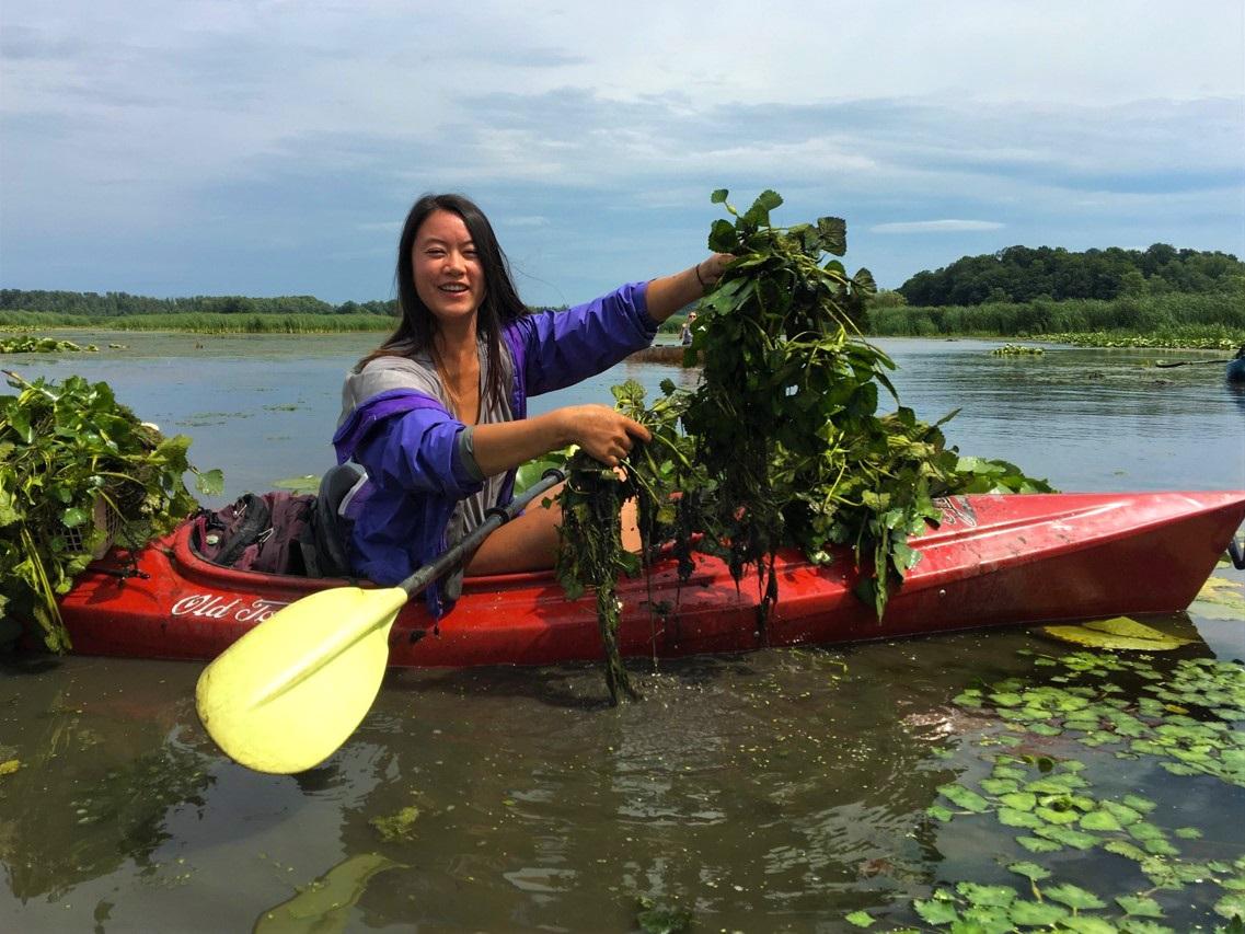 Student in a kayak holding up lake weeds