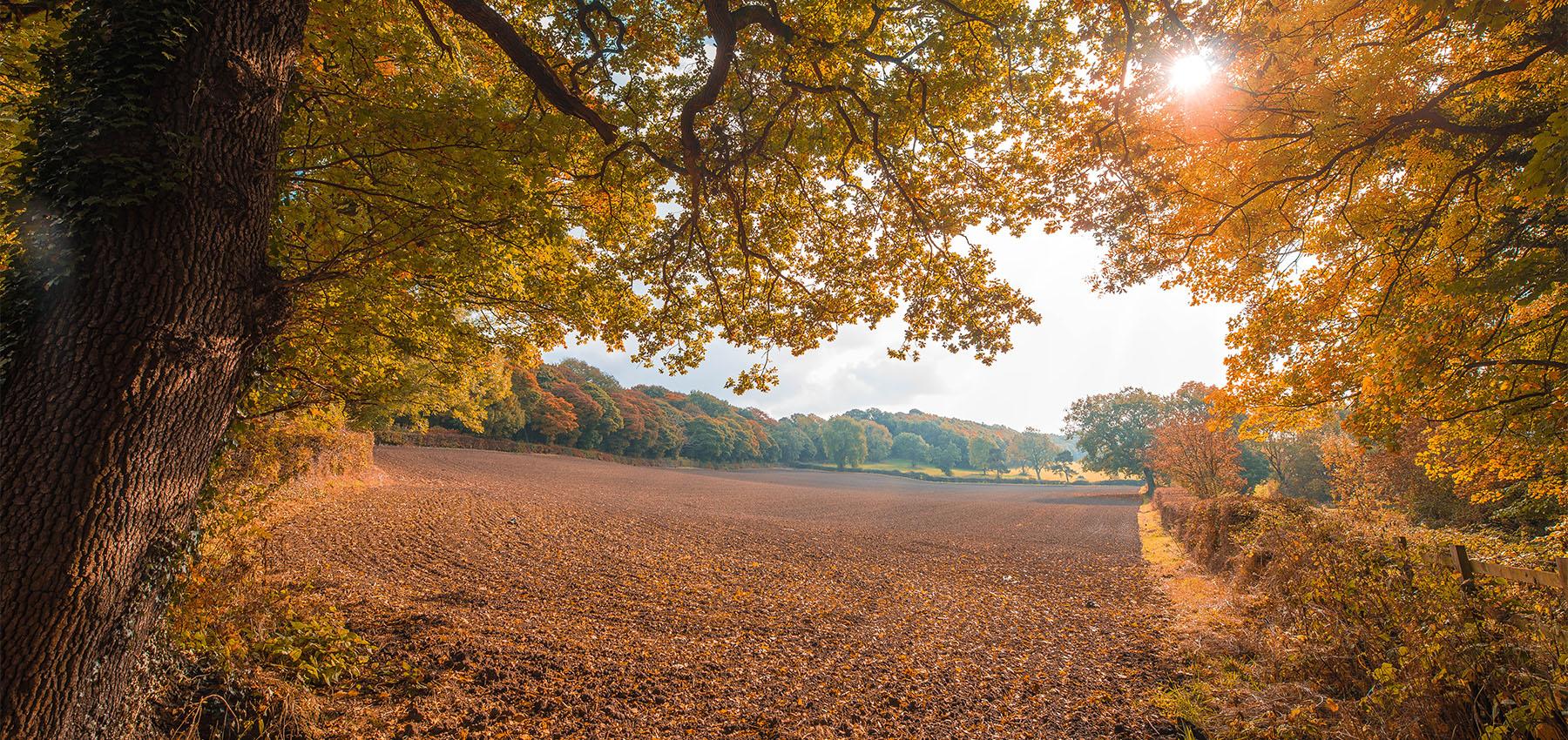 Autumn Sunset Over Farm