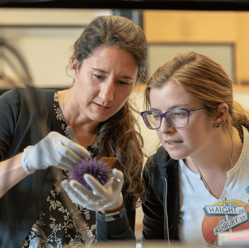 A student and professor work together in the lab