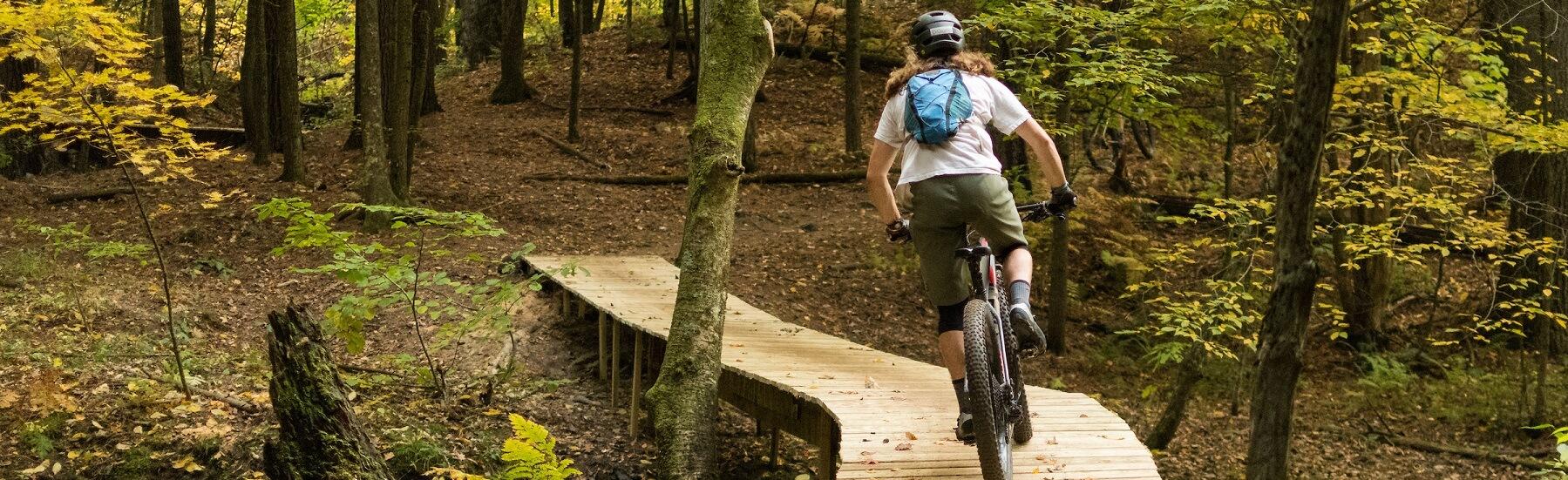 A person on a mountain bike on a built trail