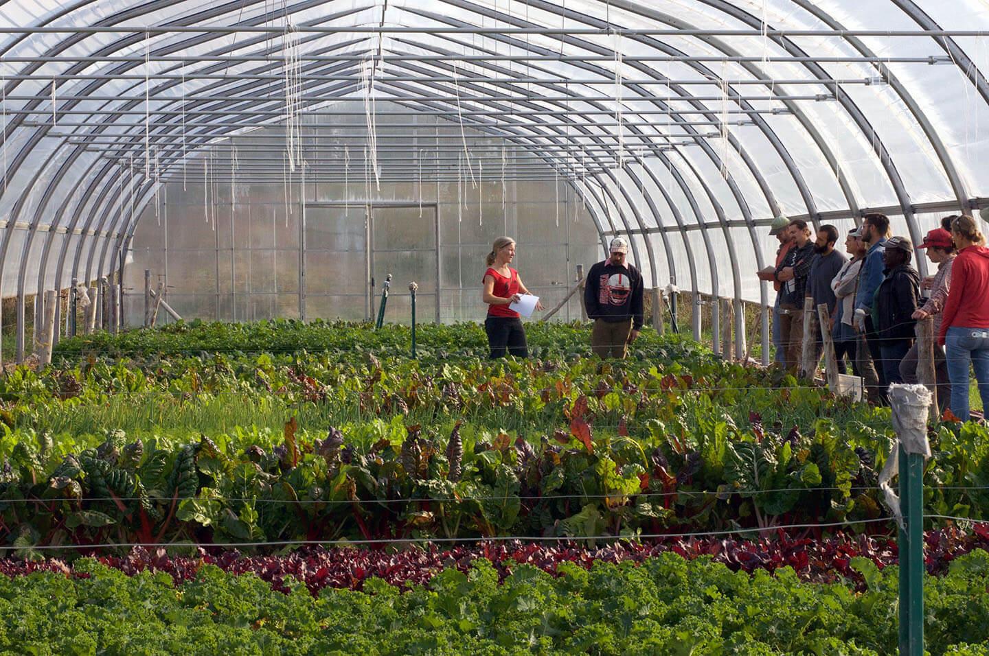Students learning in a greenhouse